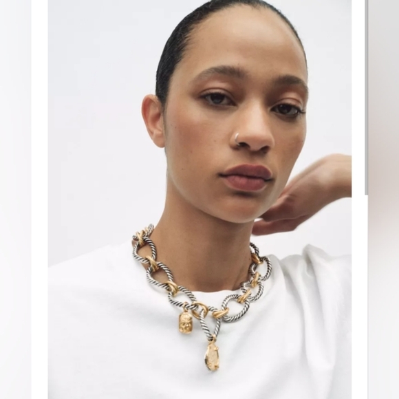 Zara Jewelry - Zara Gold and Silver Statement Necklace